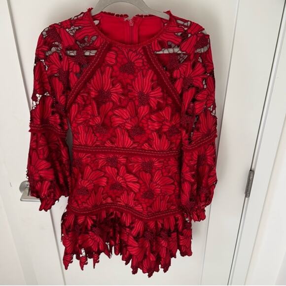Alexis Fransisca Red Lace Mini Dress - Picture 3 of 6